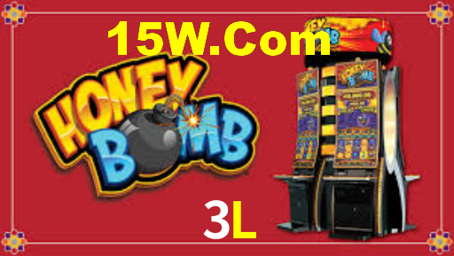 3L